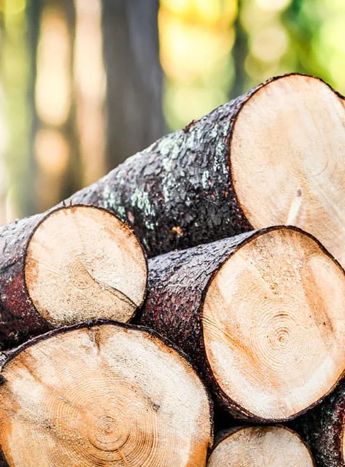 FSC-certifiering (FSC-C164884)