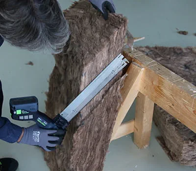 Urtag för hanbjälken