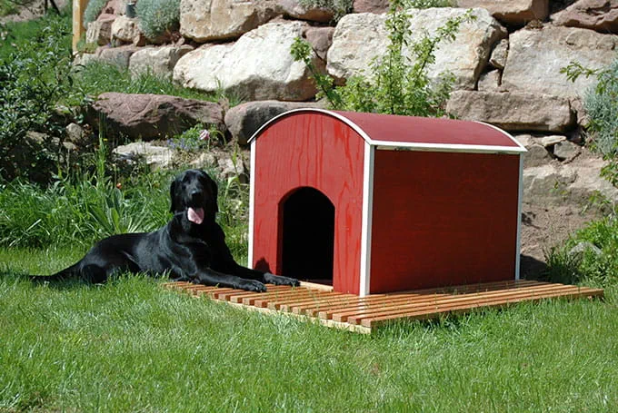 hundkoja